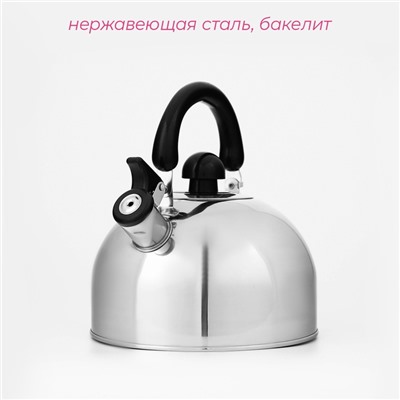 Чайник Доляна «Чёрная ночь», 2 л, со свистком, индукция, нержавеющая сталь, хромированный