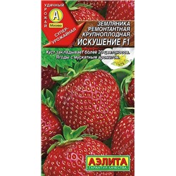 Земляника  Искушение F1 ремонтантная (Аэлита)
