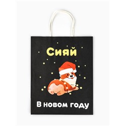 Пакет бумажный подарочный новогодний крафт «Сияй», 27×21×11 см