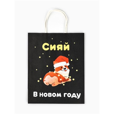 Пакет бумажный подарочный новогодний крафт «Сияй», 27×21×11 см