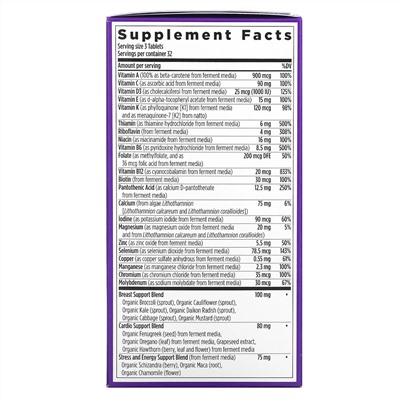 New Chapter, 40+ Women's Advanced Multi, 96 Vegetarian Tablets