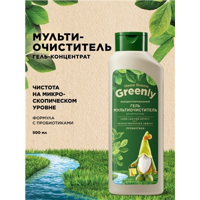Концентрированный гель-мультиочиститель Home Gnome Greenly