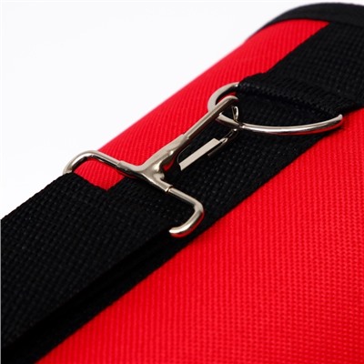 Сумка - переноска «Весёлый пес», размер L, 53×21×29 см, каркасная, красная