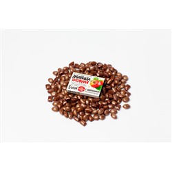 Резинка жевательная "Живица таежная" с Шиповником, 5 штук по 0,8г