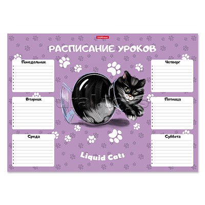 Расписание уроков "Жидкие коты" А3