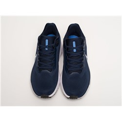 Кроссовки Nike Air Zoom Pegasus 41