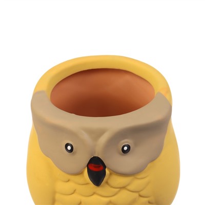 Автополив для комнатных растений «Совушка», 16×6 см, керамика, набор 4 шт., МИКС