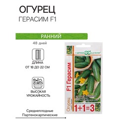 Семена огурца «Герасим», F1, 20 шт.