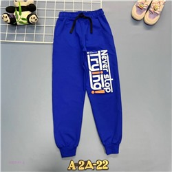 штаны 2057101-2