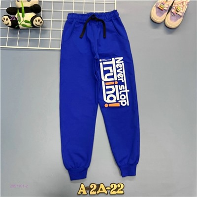 штаны 2057101-2