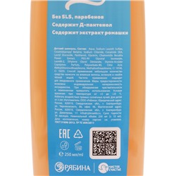 Шампунь детский, аромат сливочный пломбир, 250 мл, Коты аристократы