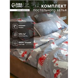 Постельное бельё 2-спальное «Этель. Зимние игры», поплин