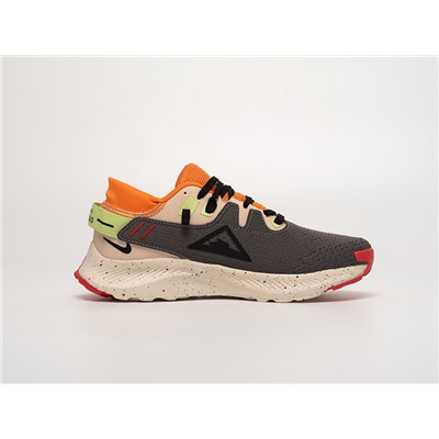 Кроссовки Nike Pegasus Trail 2