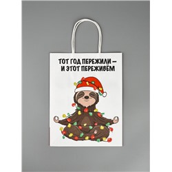 Пакет бумажный подарочный новогодний крафт, «Тот год пережили и этот переживем», 27×21×11 см