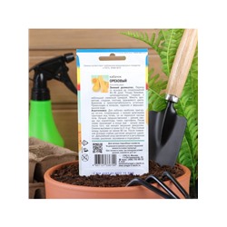 Набор семян Кабачок "ОРЕХОВЫЙ", 5 шт.