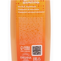 Детский шампунь, аромат апельсиновое мороженое, 250 мл, Чебурашка