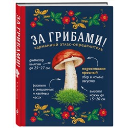 Эксмо Ильина Т.А. "За грибами. Карманный атлас-определитель"