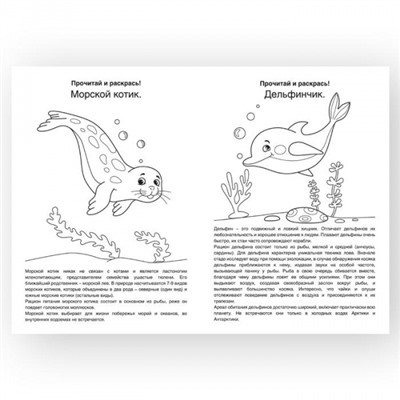 Раскраска А4 8 стр. "МОРСКИЕ ЖИТЕЛИ" от 3 лет РКМ08-МЖ Каляка-Маляка