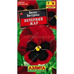 Виола Вечерний жар гр. Швейц. гиганты (Аэлита)