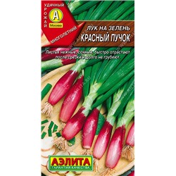 0562A Лук на зелень Красный пучок 0,3 г
