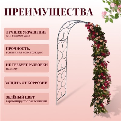 Арка садовая, 230×120×51 см, для вьющихся растений, металлическая, зелёная