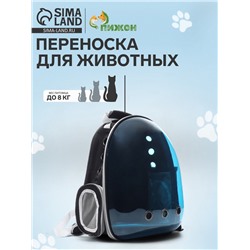 Рюкзак для переноски кошек и собак, 33×25×41 см, прозрачный, с напылением