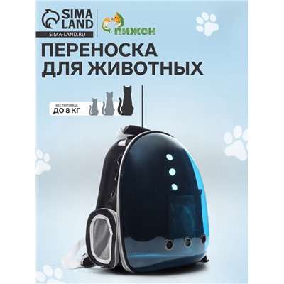 Рюкзак для переноски кошек и собак, 33×25×41 см, прозрачный, с напылением