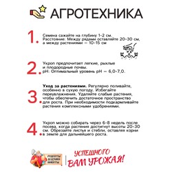 Семена Укроп "Кибрай", 1 г