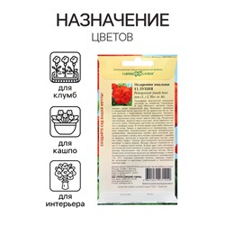 Семена Пеларгония "Луция", ц/п,  F1, 4 шт.