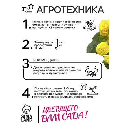 Семена Бегония "Фортуна Голден", ц/п,  F1, 4 шт. 1021742