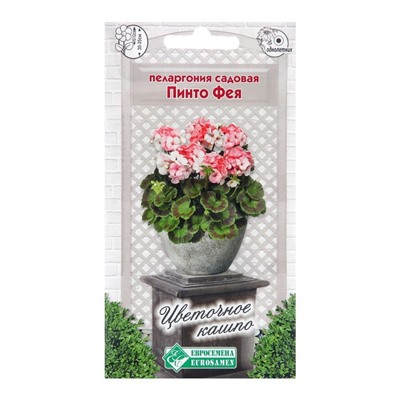 Семена пеларгония садовая «Пинто Фея», 3 шт.