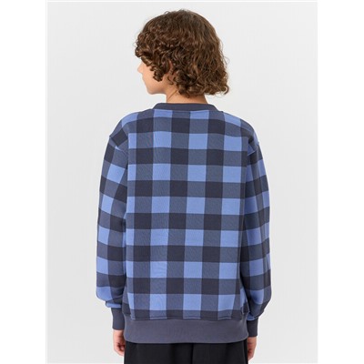 СВИТШОТ ДЛЯ МАЛЬЧИКОВ 123431/1