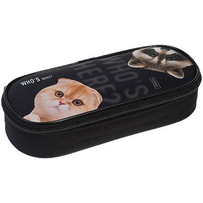 Пенал 1 отделение на молнии 220х90х50 мм "Кто здесь?" (095127) 73298 Хатбер