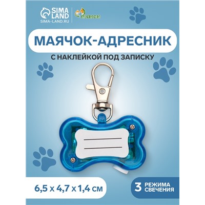 Маячок-адресник «Косточка», с наклейкой под записку, 3 режима свечения, пластик, металл, голубой