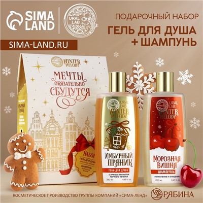 Подарочный набор «Мечты сбудутся», гель для душа и шампунь для волос, 2×250 мл, URAL LAB