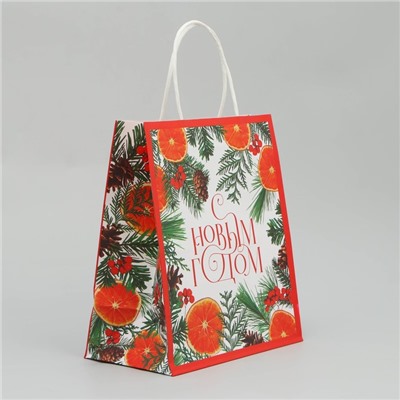 Пакет подарочный новогодний крафтовый «Новогоднее чудо», 22×25×12 см