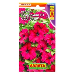 Семена цветов Петуния Балерина бургунди крупноцветковая F1  (драже) С. Farao, Ц/П,7 шт.