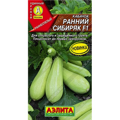 Кабачок Ранний Сибиряк (Код: 93754)