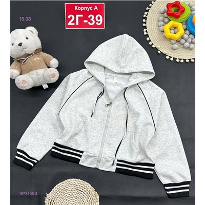 кофта 1978105-3