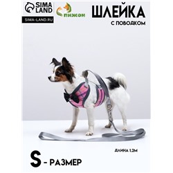 Комплект амуниции с мягкой шлейкой, S, поводок 120×1 см, ОШ 20-40 см, ОГ 30-44 см, розовый