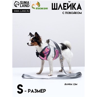Комплект амуниции с мягкой шлейкой, S, поводок 120×1 см, ОШ 20-40 см, ОГ 30-44 см, розовый