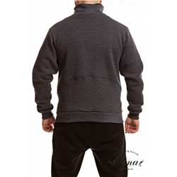 Толстовка (начес) М12121ВШб