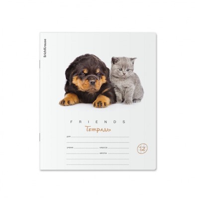 Тетрадь  12л клетка "Дружба" 42545 ErichKrause