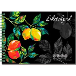 Альбом для зарисовок (скетчпад)  А5 140х200 мм 60л твердая обложка на спирали "ЛИМОНЫ" белый офсет 100 г/м2 65982 Феникс