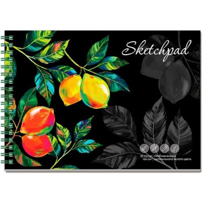 Альбом для зарисовок (скетчпад)  А5 140х200 мм 60л твердая обложка на спирали "ЛИМОНЫ" белый офсет 100 г/м2 65982 Феникс