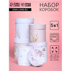Набор круглых подарочных коробок 5 в 1 «Нежный образ», 20×20 -14×14 см