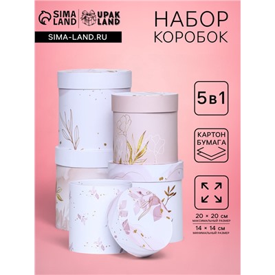Набор круглых подарочных коробок 5 в 1 «Нежный образ», 20×20 -14×14 см