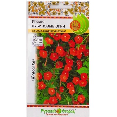 Ипомея Рубиновые огни  (Код: 79288)