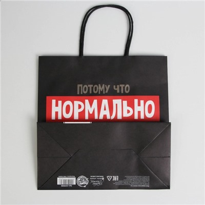 Пакет подарочный новогодний «Нормально надо отвечать», 22×22×11 см