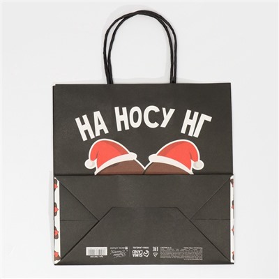 Пакет подарочный новогодний «На носу НГ», 22×22×11 см